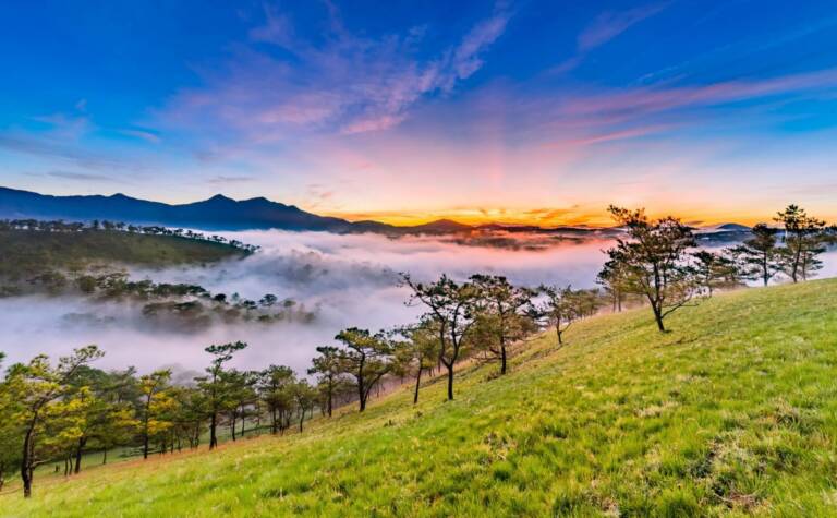 dalat vietnam