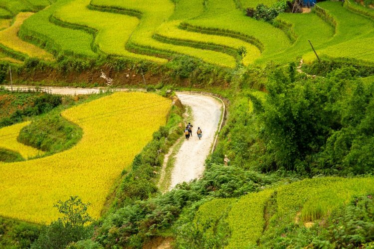 sapa - Hacer excursiones en Vietnam