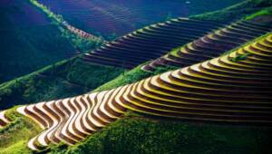 Campos de arroz en terrazas en Sapa, Vietnam., Agencias de Viajes Vietnam