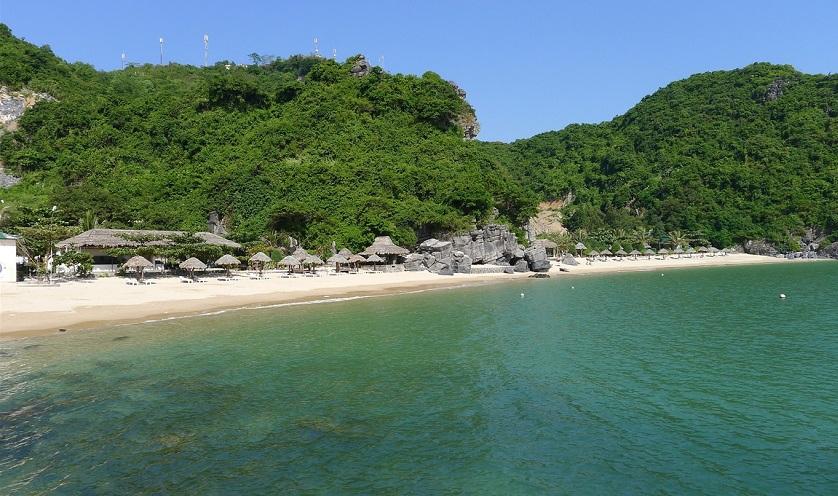 cat co beach