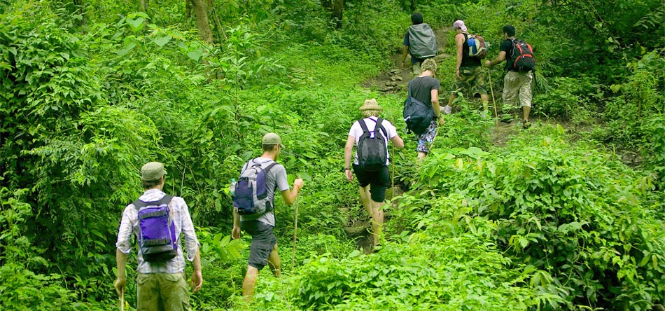 vida silvestre de vietnam, parque nacional cuc phuong