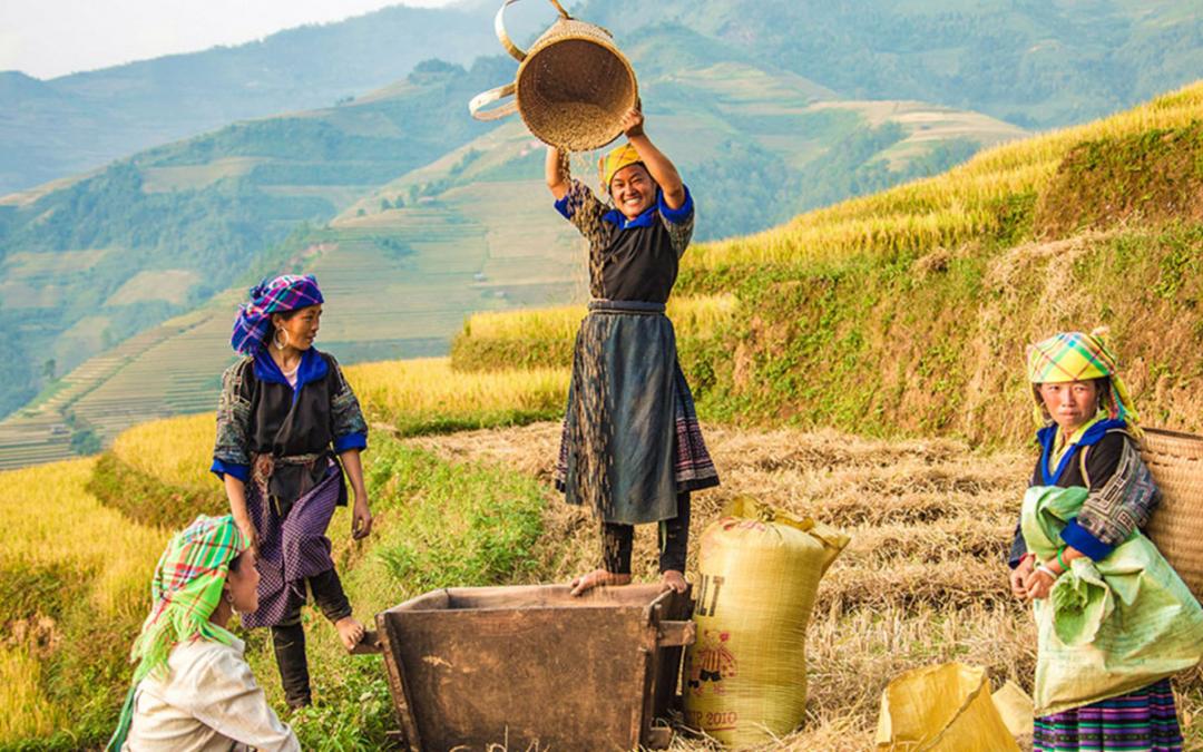 ha giang tour, ha giang travel guide
