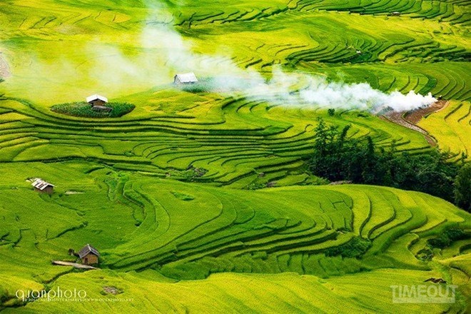 vacaciones en Vietnam, la mejor época para ver arrozales en Vietnam