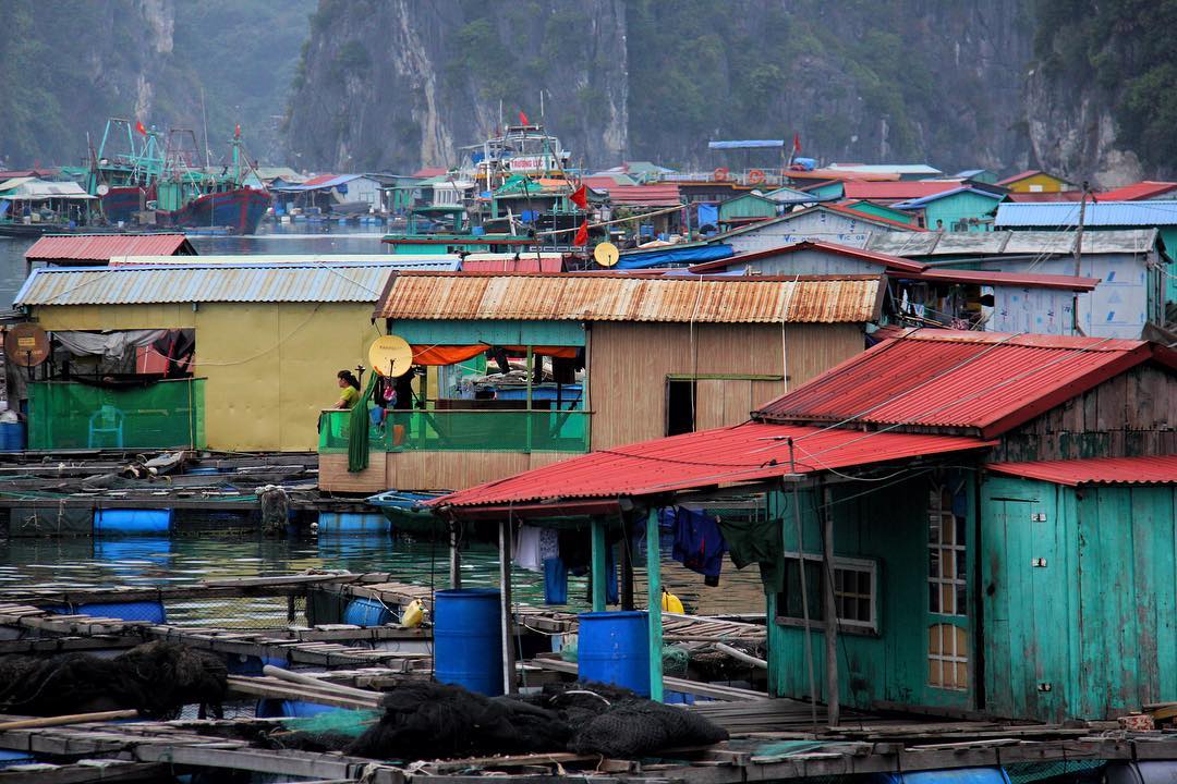 cai beo floating village
