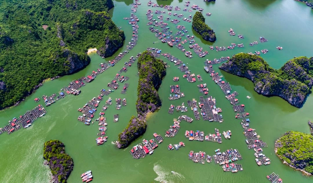 pueblo flotante de Cai Beo