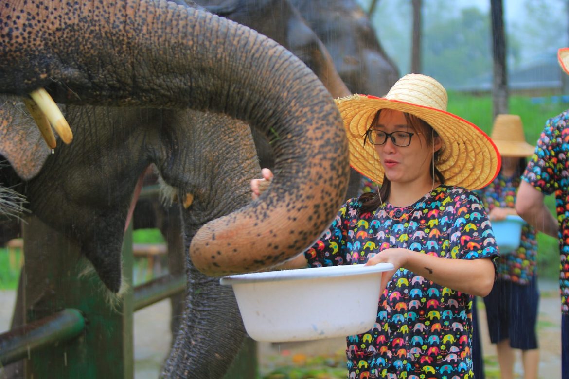 El equipo de Lux Travel baña elefantes en Chiang Mai, viajes ecológicos
