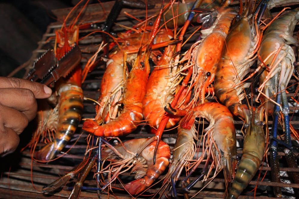 isla de koh kong cambodia, isla de koh kong, reservas en koh kong, comida en koh kong, isla de koh kong krao, atracciones turísticas de koh kong