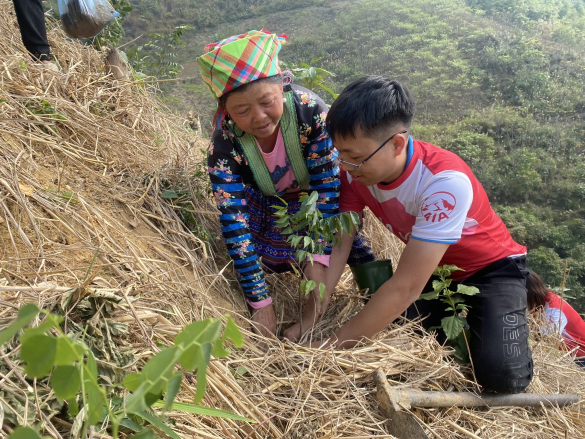 Insieme per piantare alberi con il Progetto Green Seedling