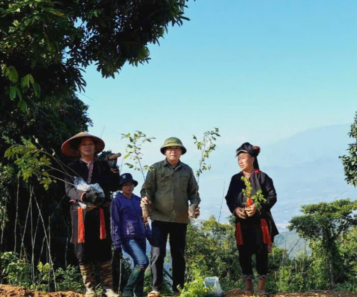 Piantare alberi a Yen Bai