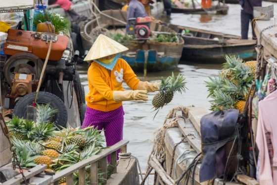 Vietnam y Camboya en 15 Días, viaje vietnam y camboya 15 dias, viaje camboya vietnam 15 dias