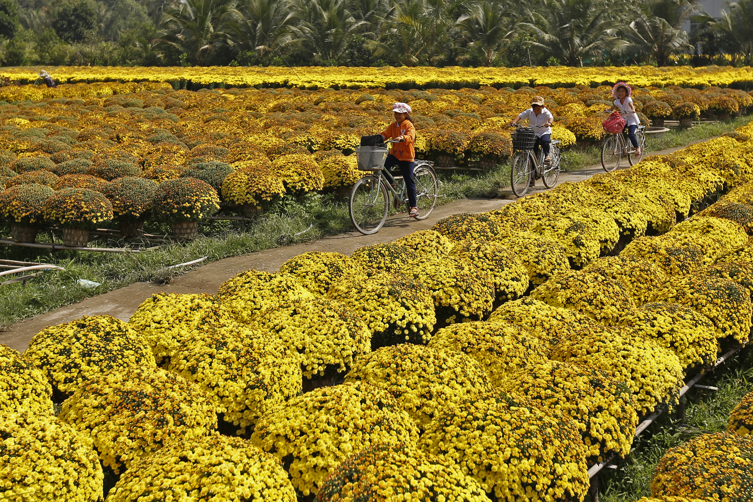 Ben Tre - viajes combinados Vietnam Camboya