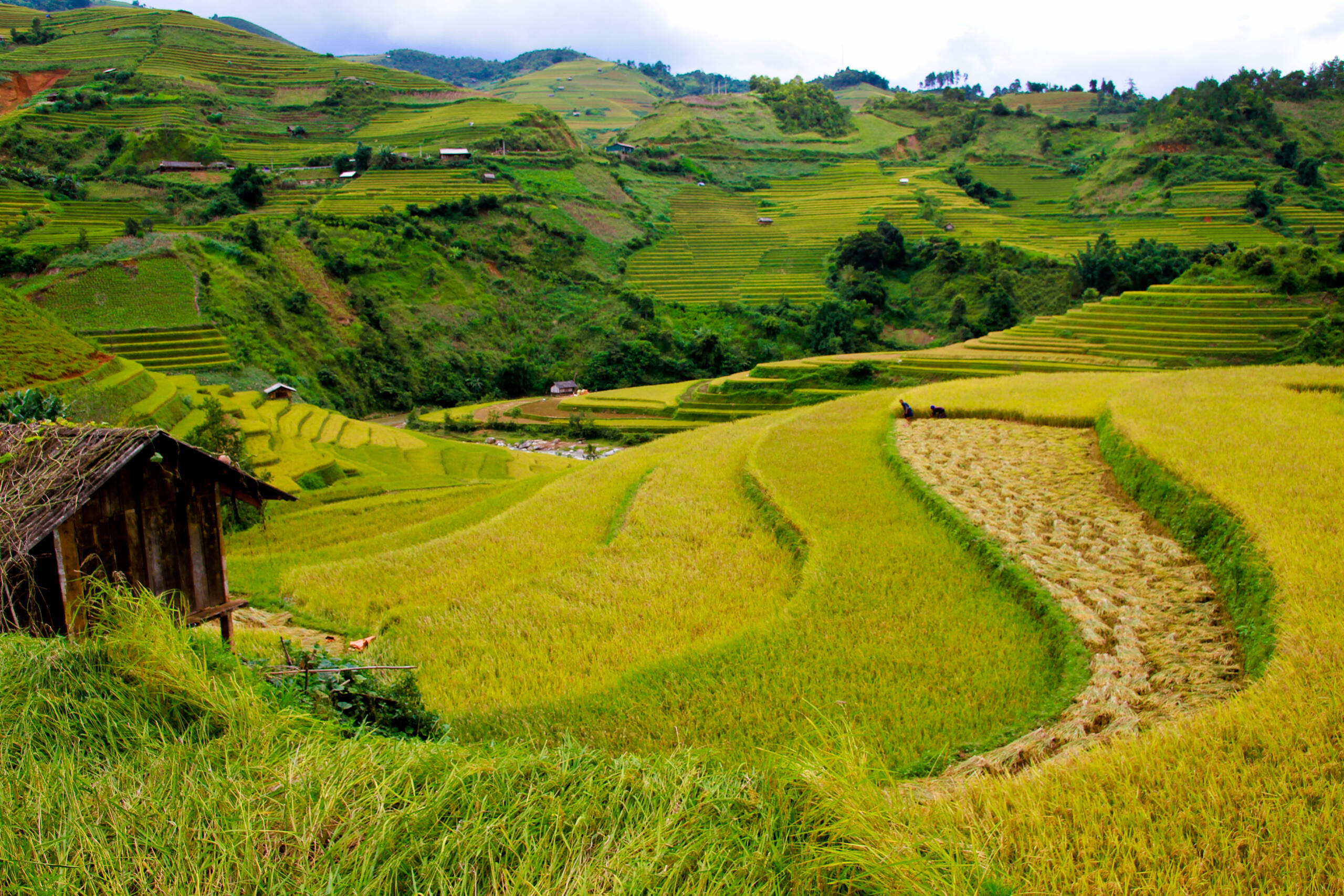 viajes a vietnam - terrazas de Mu Cang Chai al amanecer