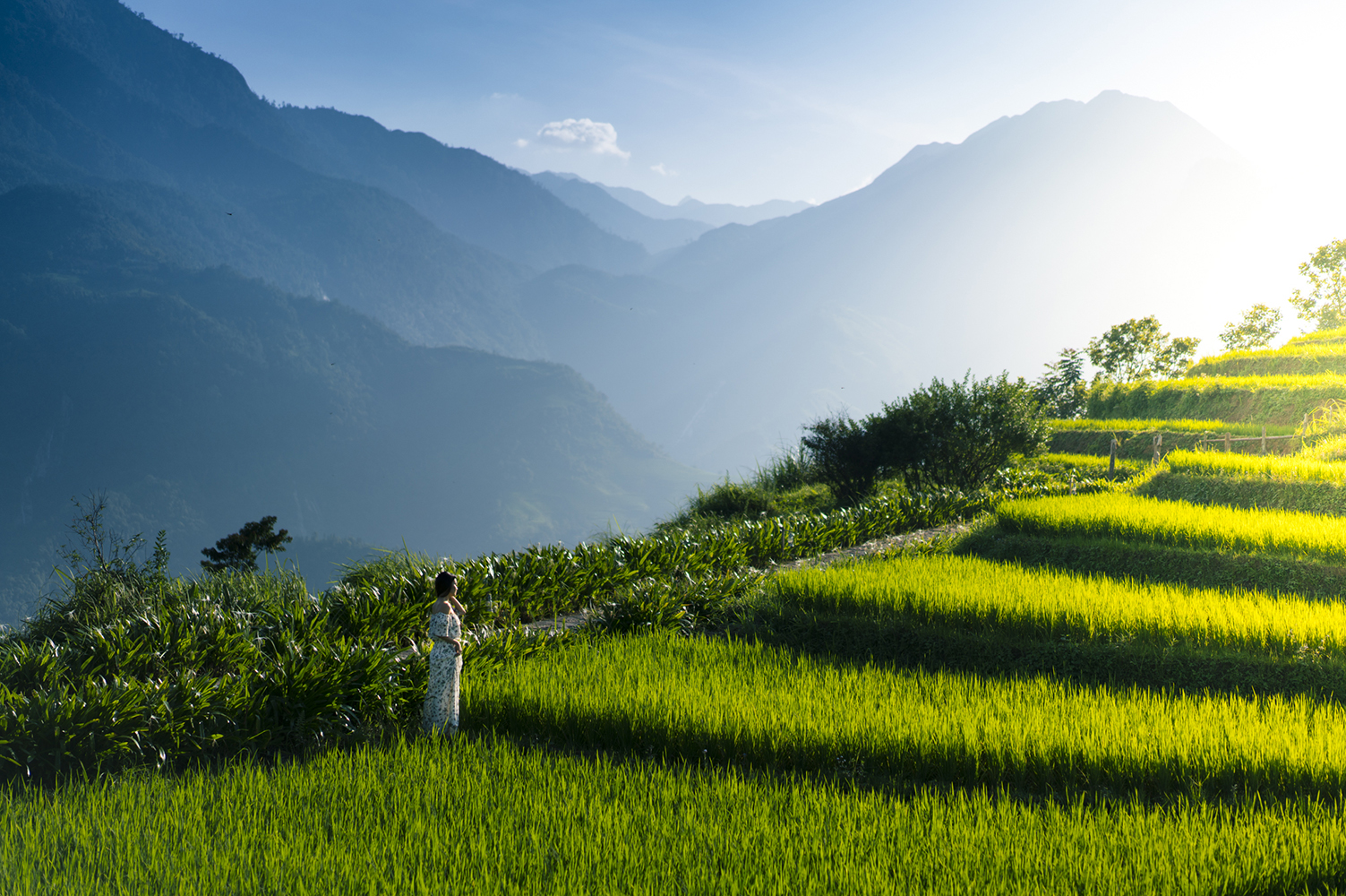 Mejor agencia para viajar a Vietnam Inside_TopasEcolodge_3