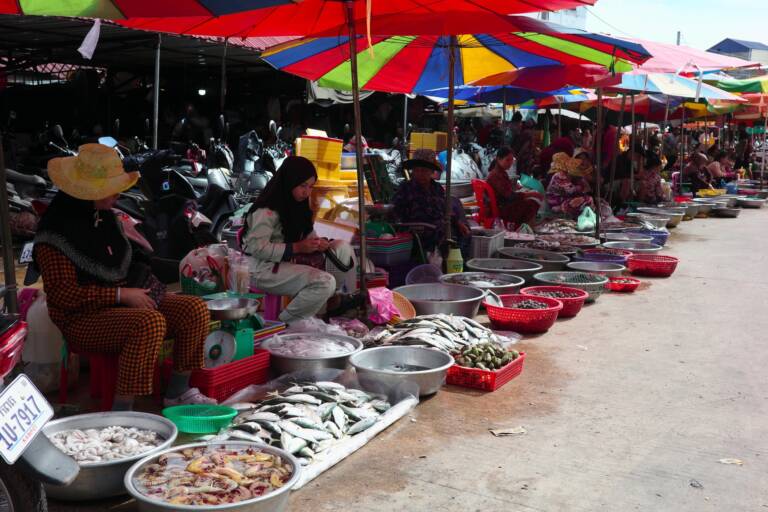 Circuitos por Vietnam y Camboya