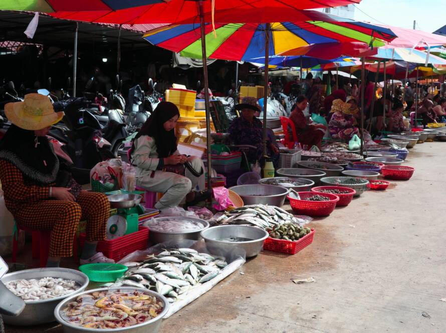Circuitos por Vietnam y Camboya