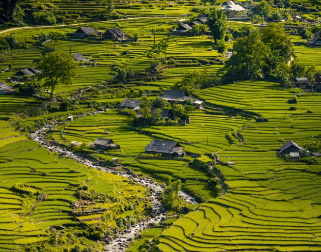 Caminatas por las aldeas étnicas, contemplando los arrozales en terraza en Sapa 