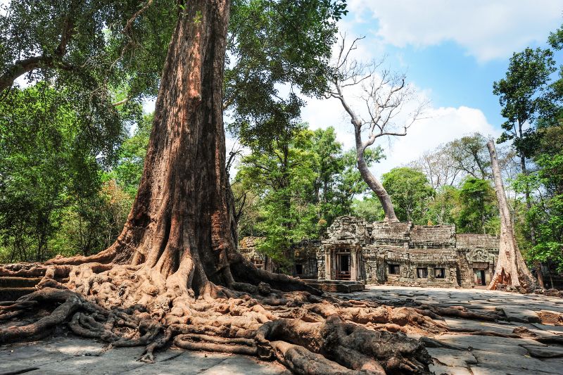 Templos de Angkor [Guía/D] 