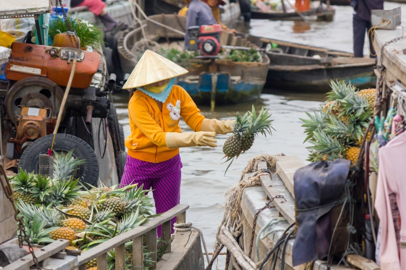 Excursion al Delta Mekong [Guía/D]  