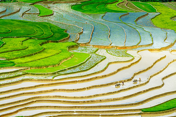 tour_highlights_of_vietnam