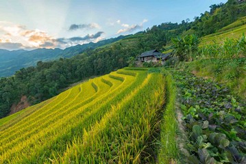 Ruta clásica del Norte al Sur de Vietnam 10 días