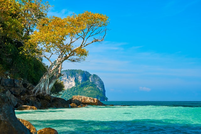 Esencia De Vietnam Y Tailandia 12 Días