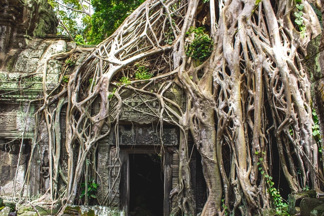 Angkor Majestouso 4 Días