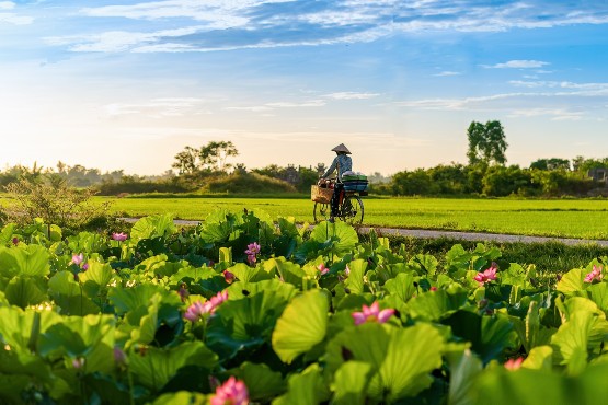 Ruta clásica del Sur al Norte de Vietnam