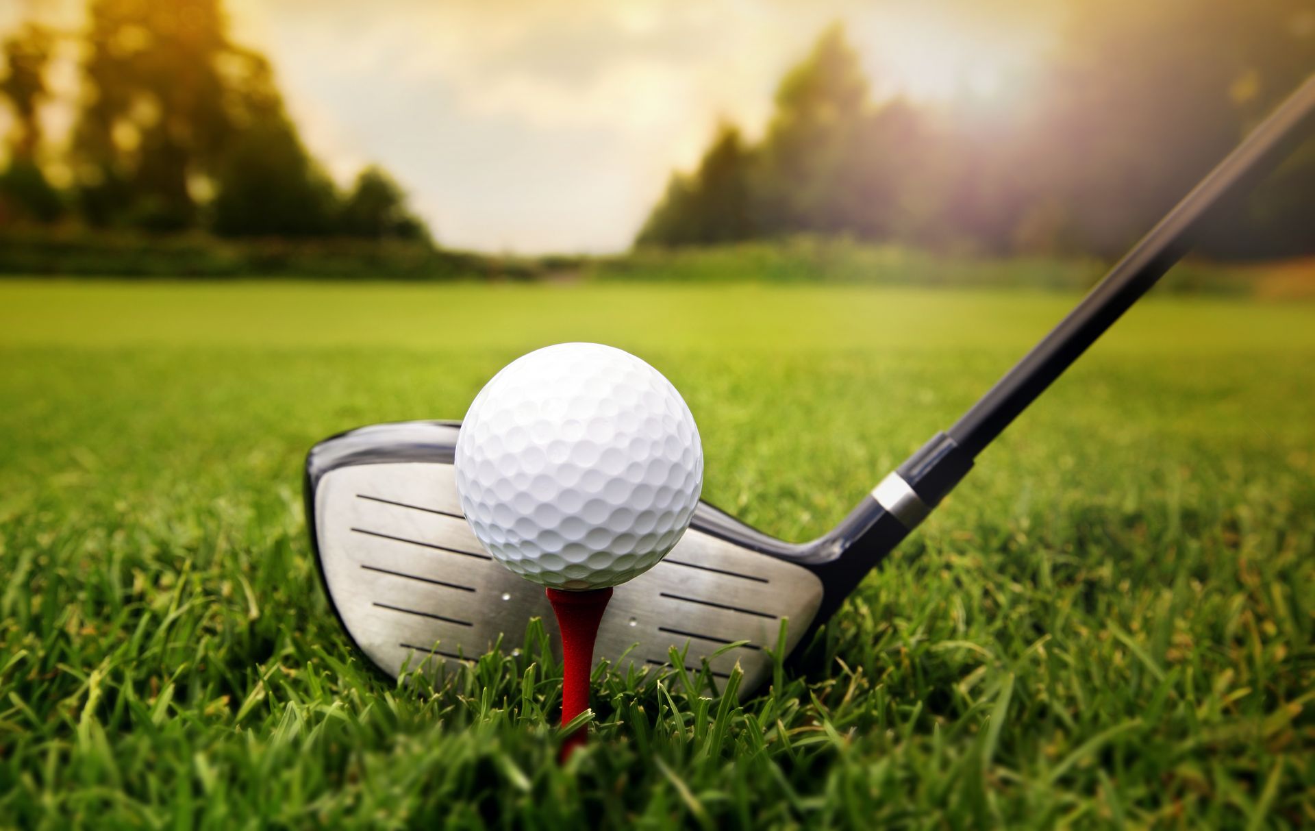 Vung Tau Golf Tour 2 días
