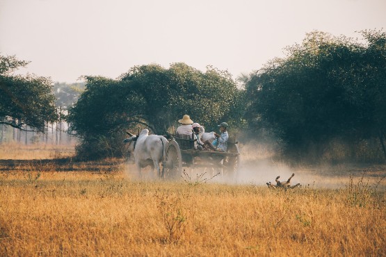 Myanmar Imprescindible Tour 6 Días