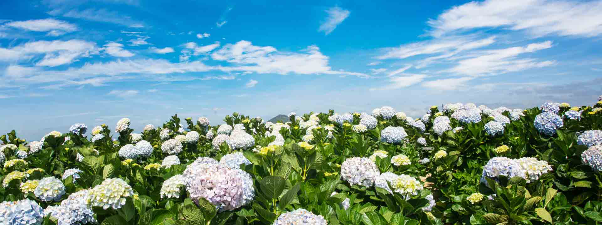 Gran Aventura al Aire Libre en Vietnam 14 días