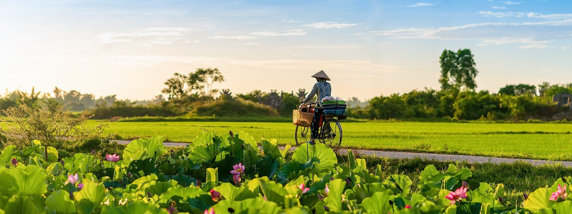 Ruta clásica del Sur al Norte de Vietnam