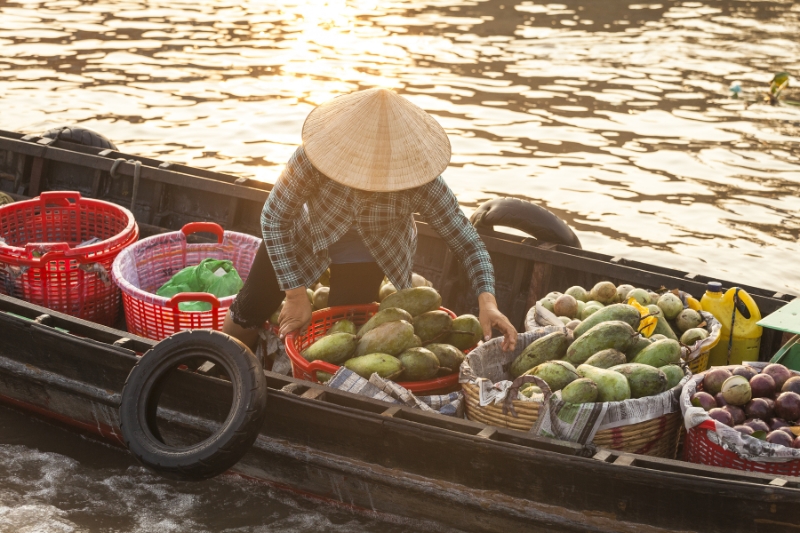 Vietnam Clásico 10 Días