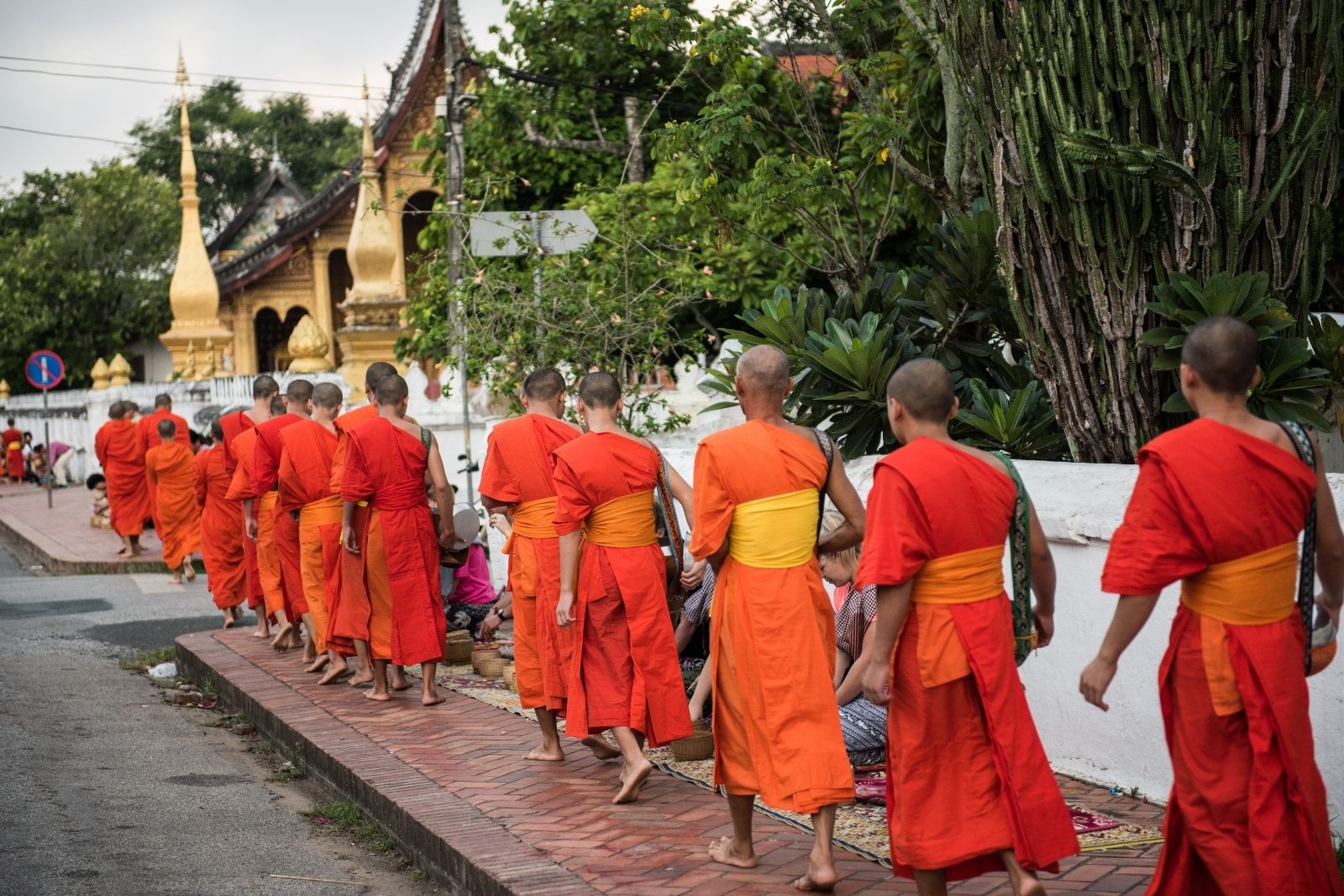 Descubre el Corazón de Indochina 14 Días