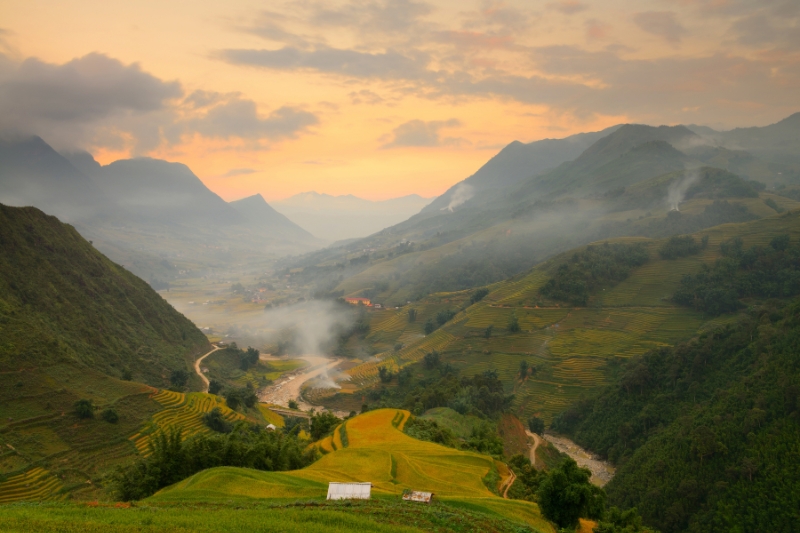 Sapa [Guía/D]