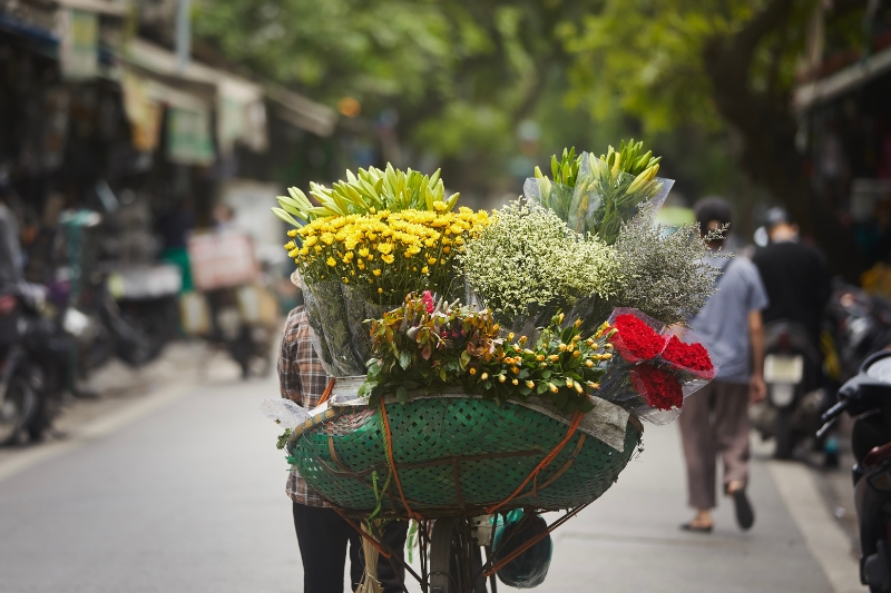 Llegada a Hanoi 