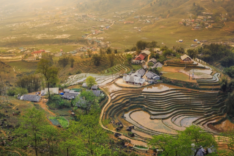 Sapa [Guía/D]  